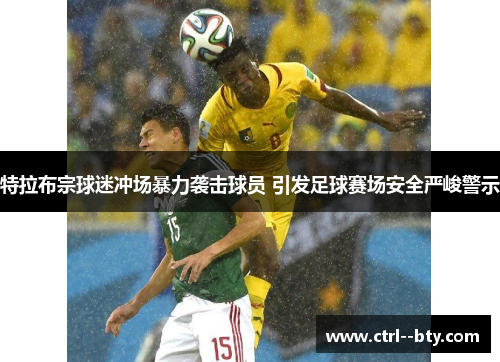 特拉布宗球迷冲场暴力袭击球员 引发足球赛场安全严峻警示